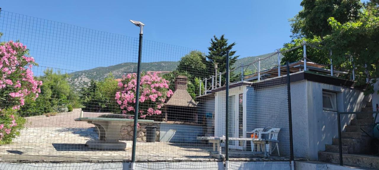 Resort Haus Toma Цесариця Екстер'єр фото