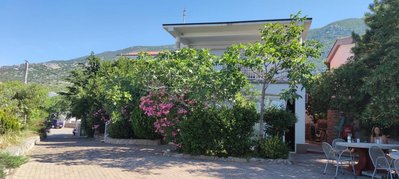 Resort Haus Toma Цесариця Екстер'єр фото
