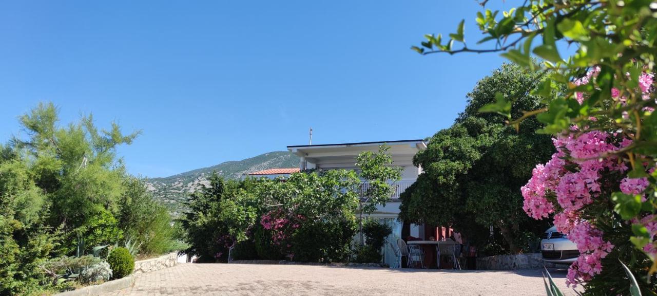 Resort Haus Toma Цесариця Екстер'єр фото