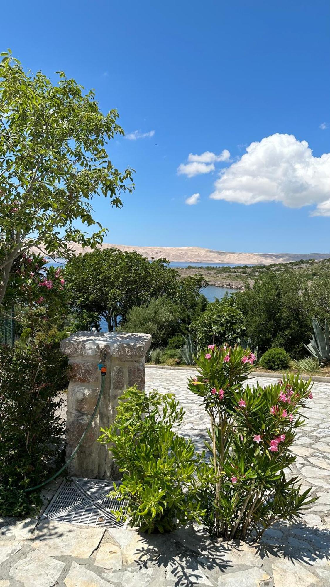 Resort Haus Toma Цесариця Екстер'єр фото