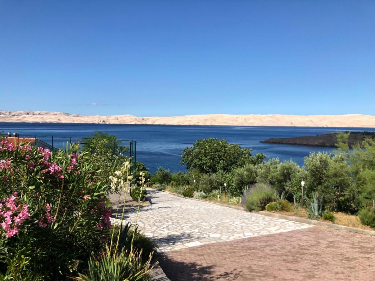 Resort Haus Toma Цесариця Екстер'єр фото
