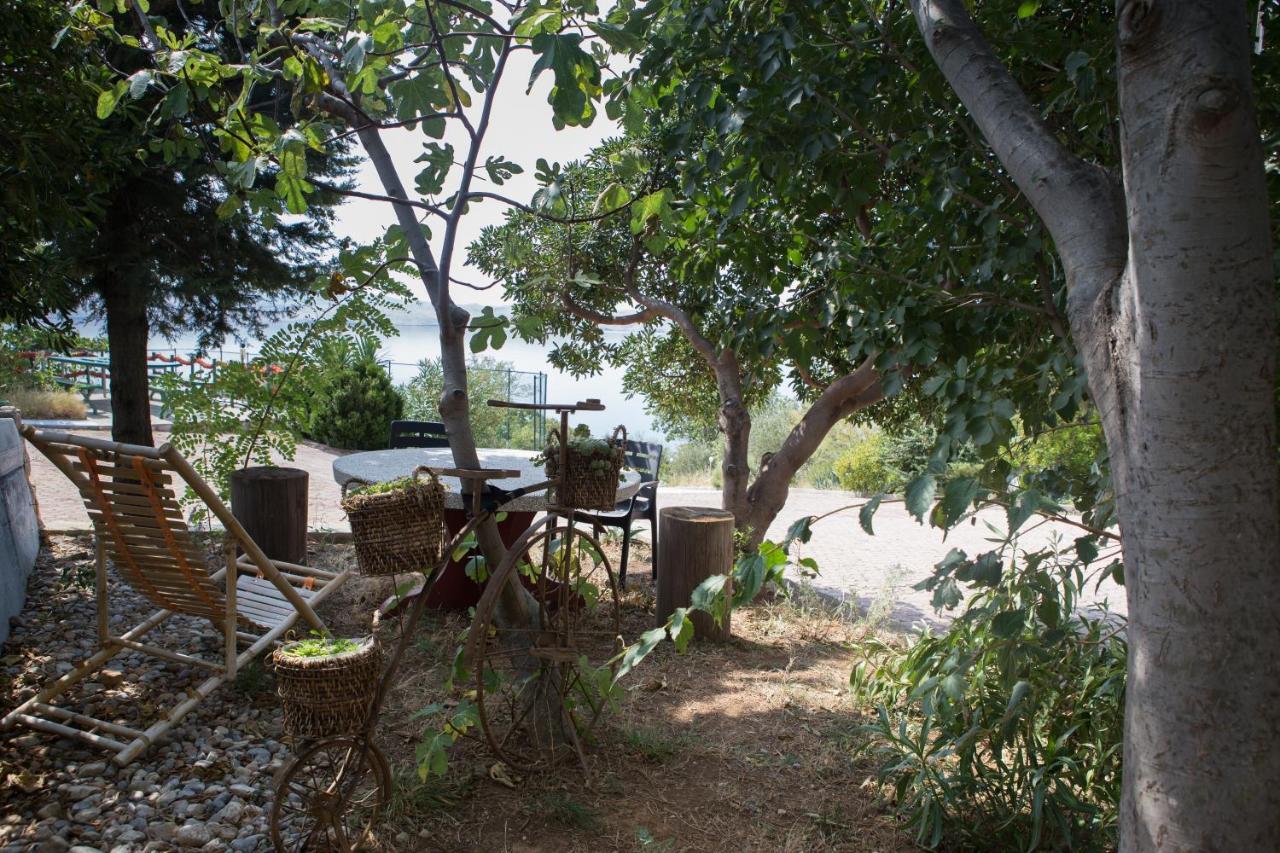 Resort Haus Toma Цесариця Екстер'єр фото