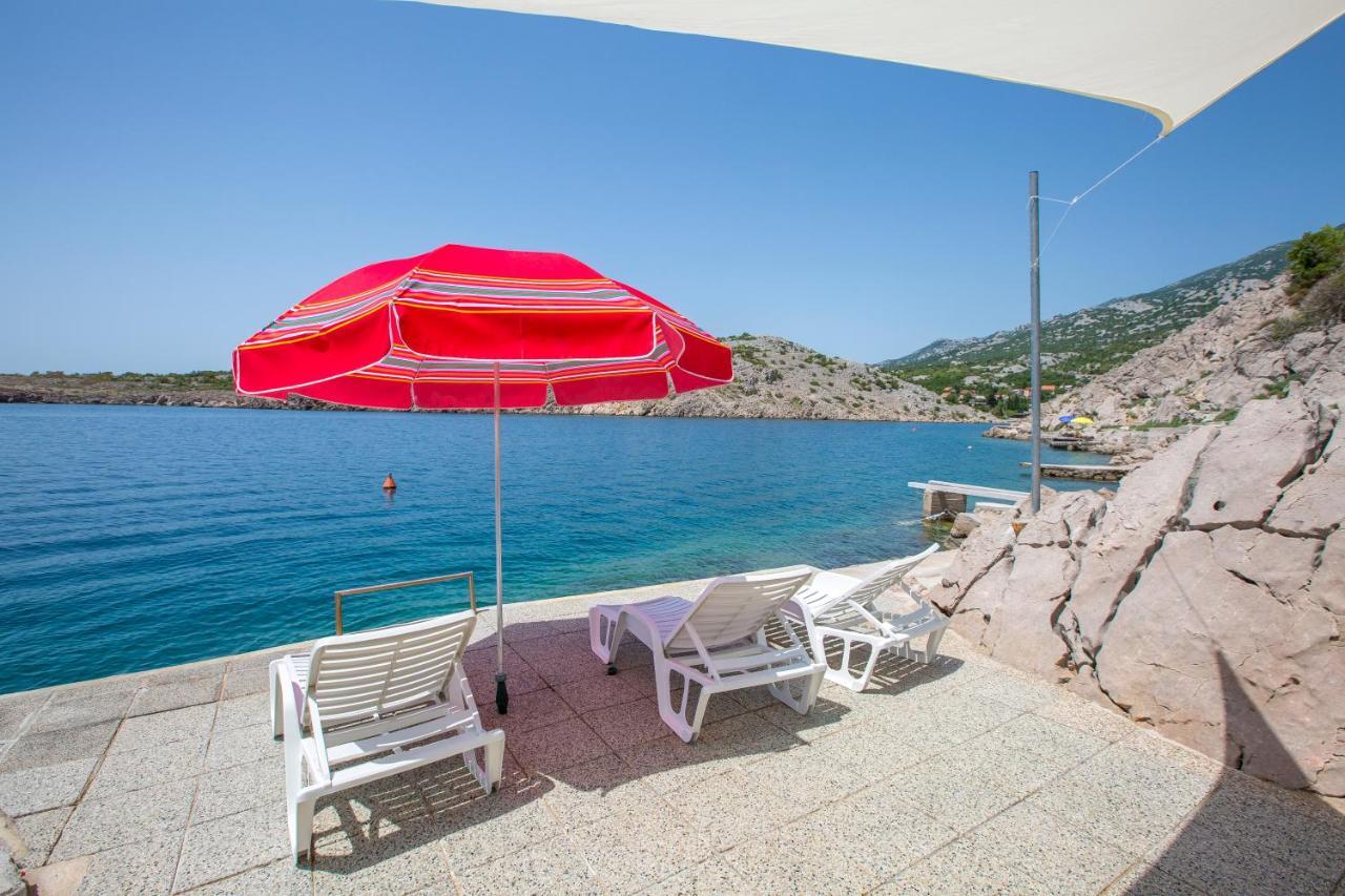 Resort Haus Toma Цесариця Екстер'єр фото